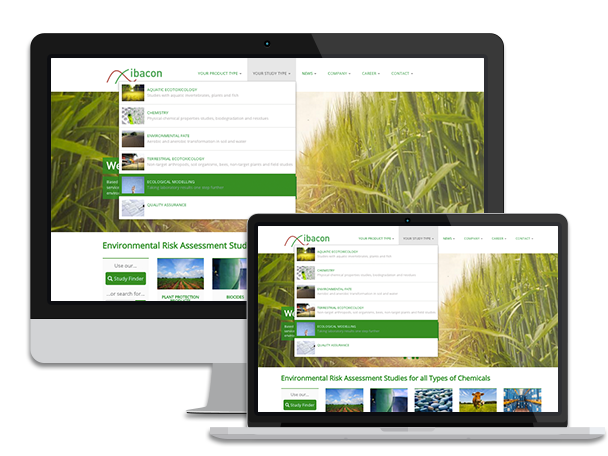 Responsivität der Website