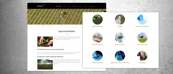 Detailansicht knoell Website