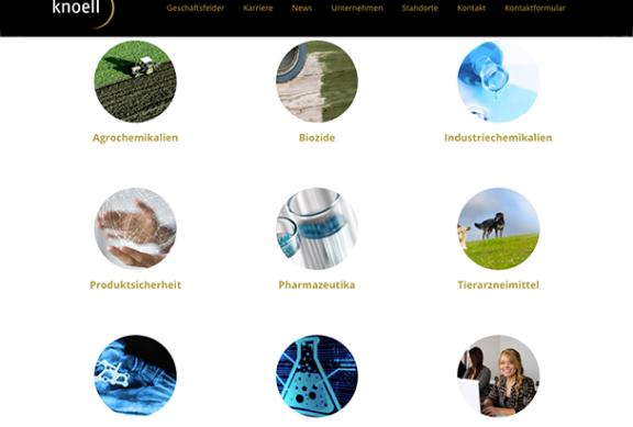 Runde Visuals zur Darstellung der Marktexpertise von knoell